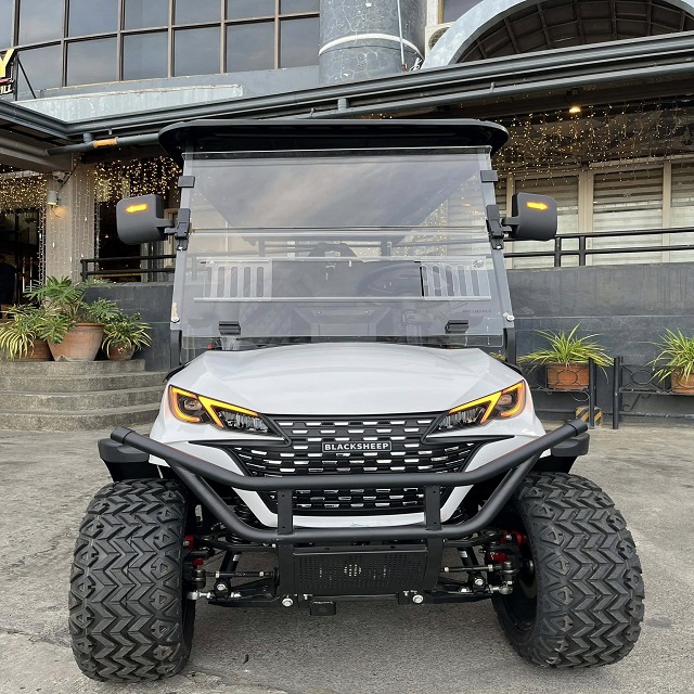 Heavy Duty Off-Road Electric Golf Cart with Seater Battery 60V New CE Certified for sale at cheap prices