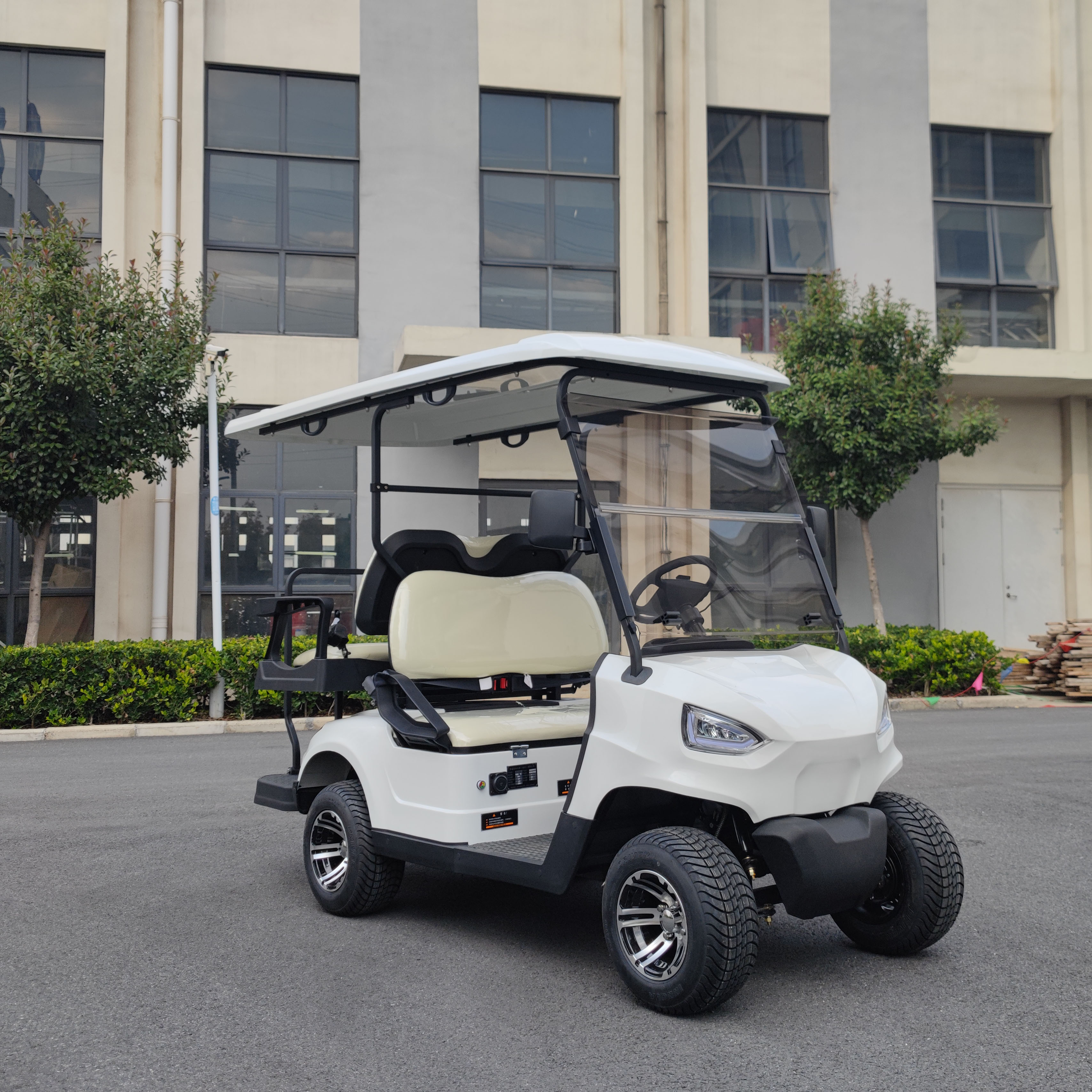 Electric Golf Cart
