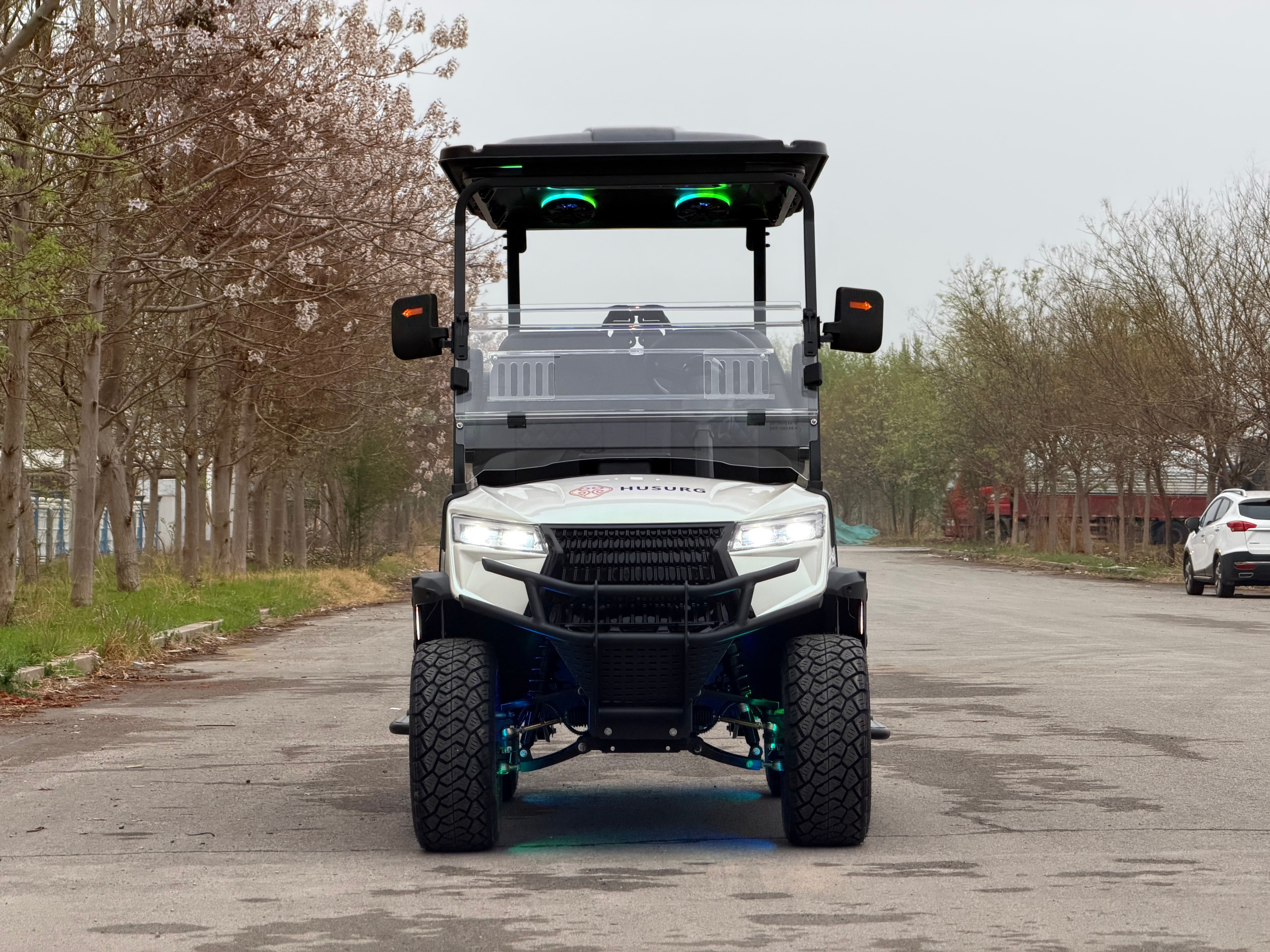 4 Seater Electric Golf Buggy Motor Dual Battery Long Range Utility Sightseeing Vehicle EEC Certified New Dot Certified