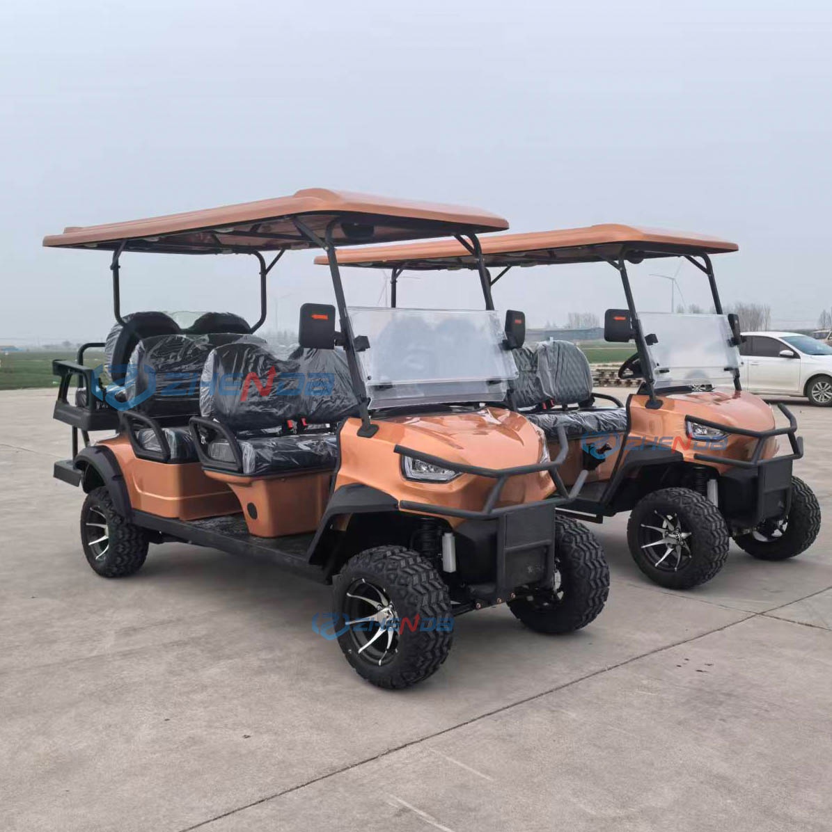 Factory Customization Golf Carts for Sale and Performance Orange 6-seat Fuel Golf Carts