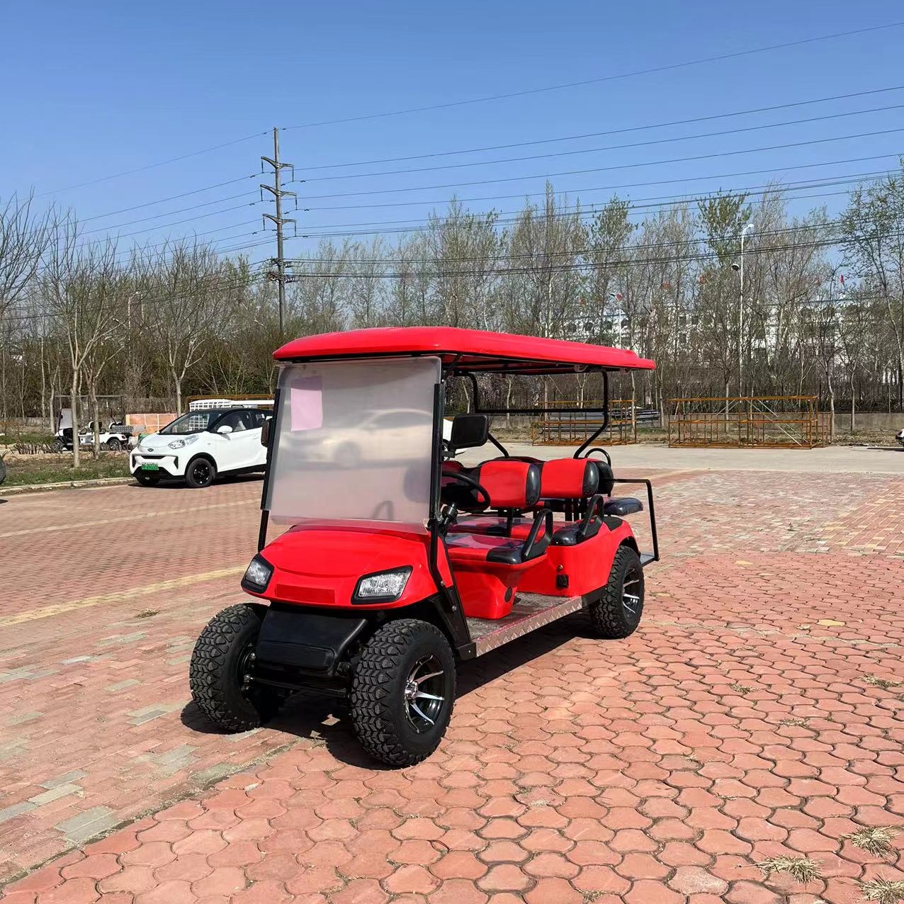 Electric Golf Cart Details 4