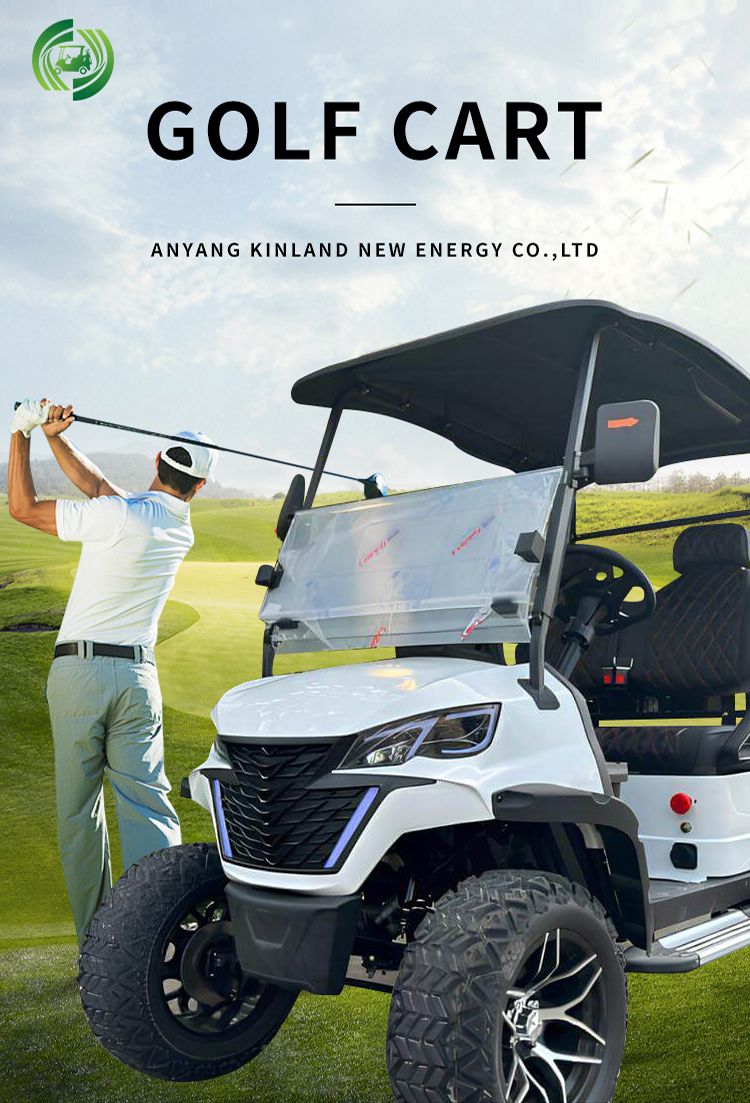 Luxury Golf Cart Detail 1