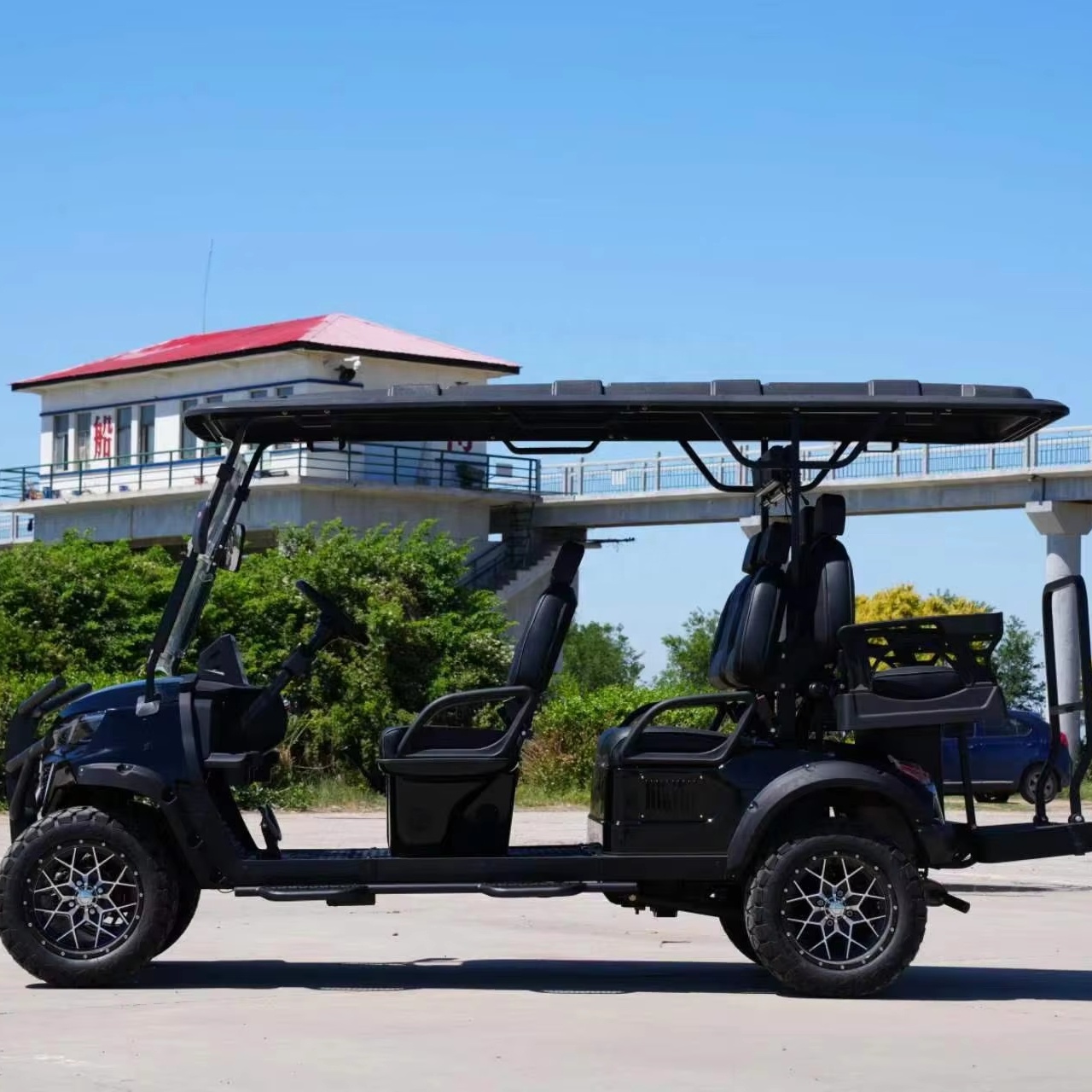 Best Price 6 Seater Off-Road Tire Golf Cart Buggy Hunting Cart Golf Carts Powered