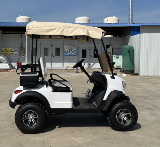 High - Quality Upgraded 2 - Seater Golf Cart: Ideal for Golf Courses and Large Park Lawn Mobility, with Customizable Exterior