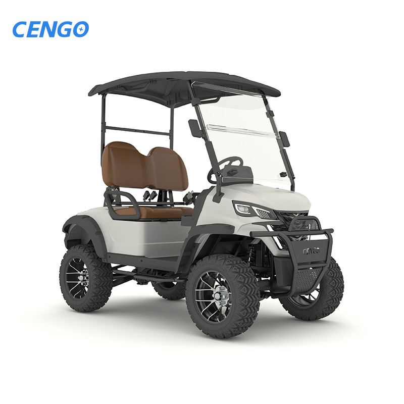 Customizable 2-seat Passenger Electric Golf Cart with a Range of 95 Kilometers, 48V Electric Golf Hunting Car