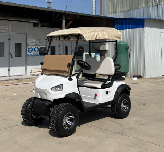 High - Quality Upgraded 2 - Seater Golf Cart: Ideal for Golf Courses and Large Park Lawn Mobility, with Customizable Exterior