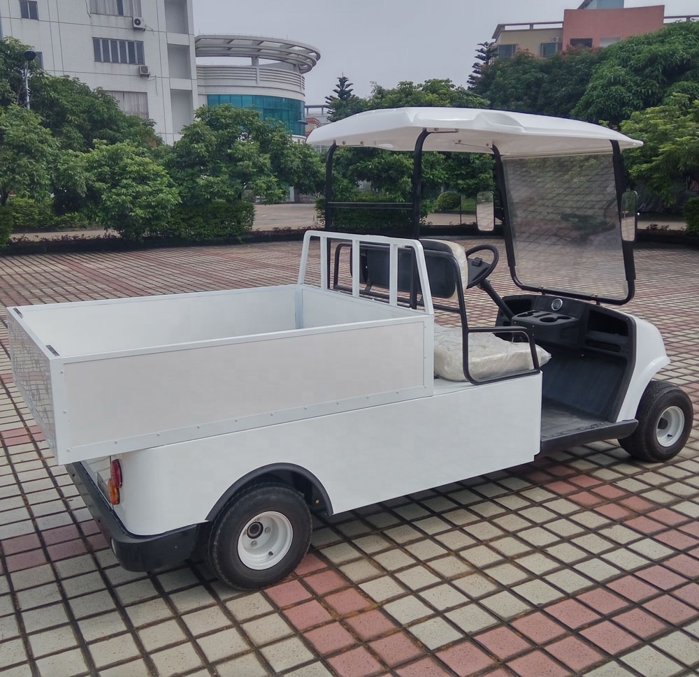 Wholesale 2 Seater Utility Truck Mini Vehicles Electric Golf Cart Cargo Electric Golf Cart