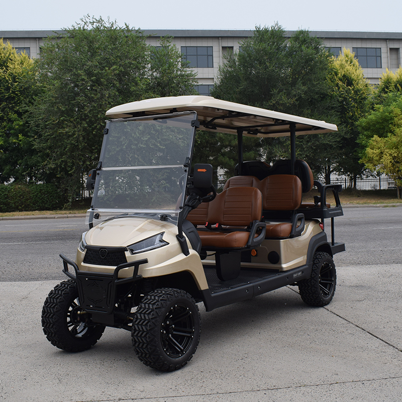 Electric Golf Cart