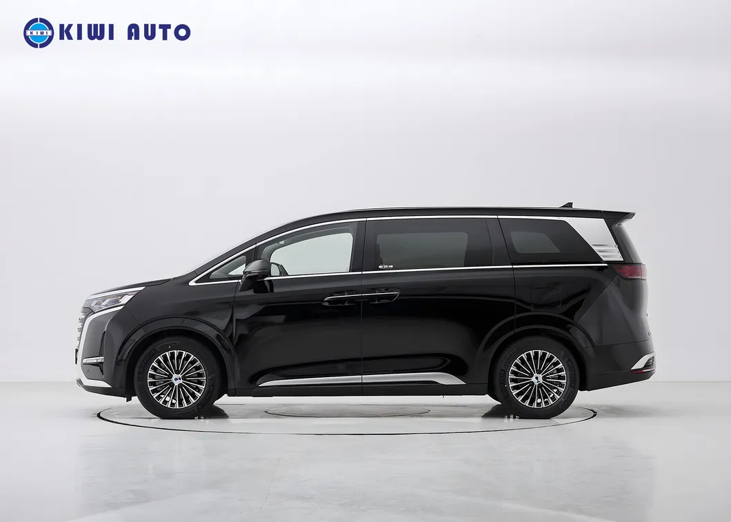 Tengshi D9 Phev Electric Auto Byd Denza D9 Dm China MPV Long Range New Used Vehicle