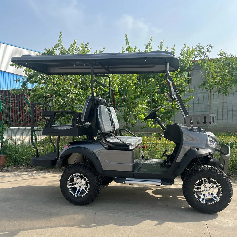 Professional 2-4 Passenger 4 Wheels Electric Golf Carts
