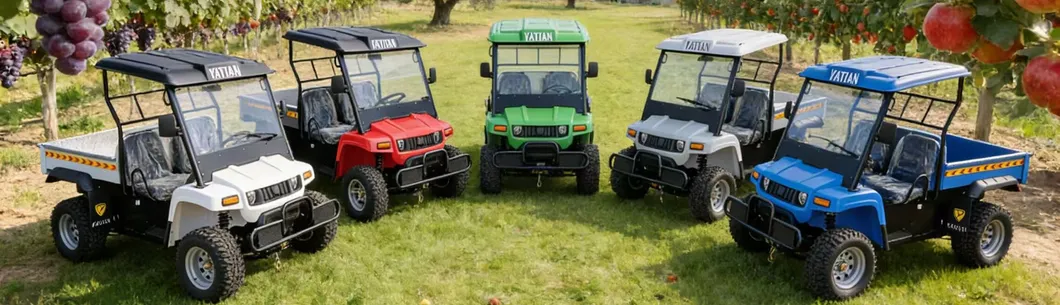 2 Seater Battery Powered 4 Wheel Utility UTV Vehicle