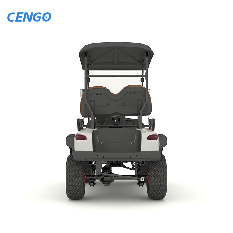 Customizable 2-seat Passenger Electric Golf Cart with a Range of 95 Kilometers, 48V Electric Golf Hunting Car