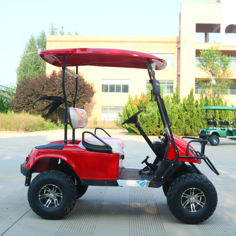New Classic 2-Seater Electric Sightseeing Golf Cart 48v Lithium Battery 2 Passenger Golf Cart