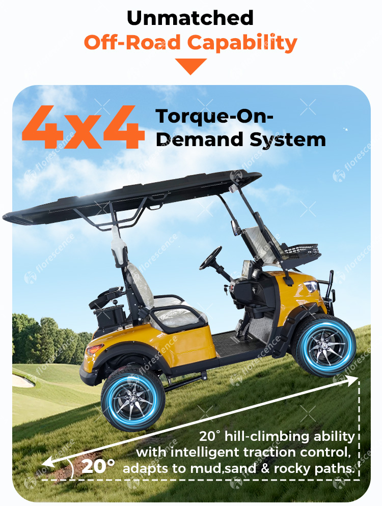 Electric Utility Vehicle Details