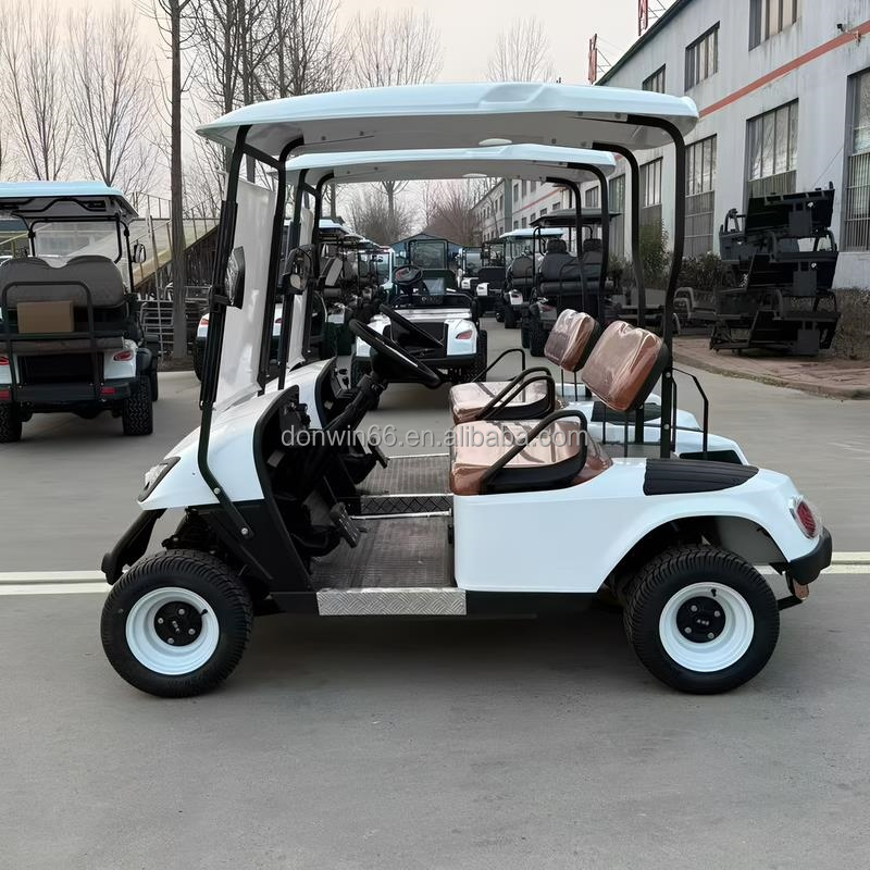High Quality 2 Seater Lithium Battery Golf Cart Off Road Club Golf Car with Rain Canopy Suitable for Golf Courses