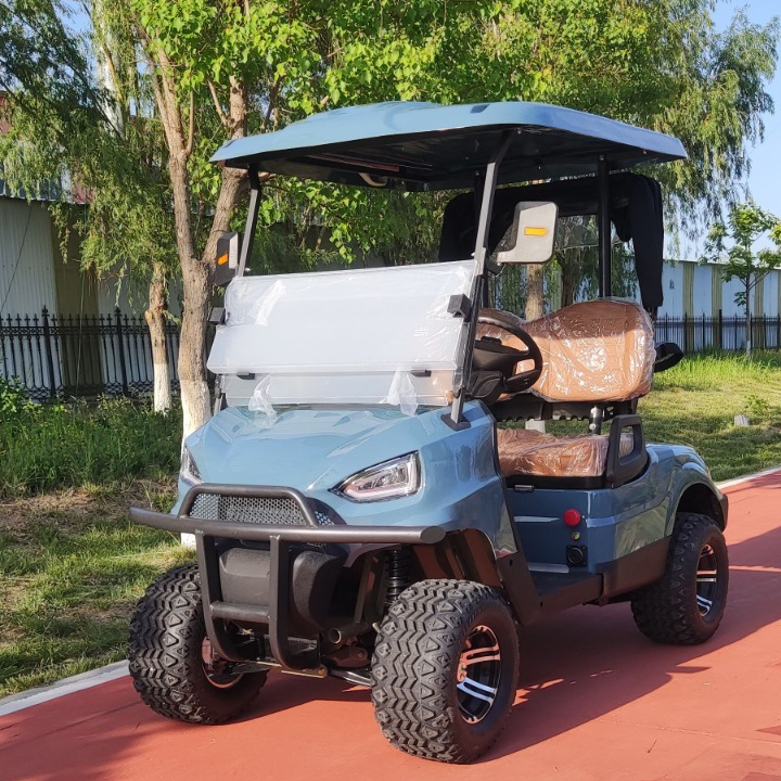 Intelligent Electric Golf Cart Customizable 2 Seat Smart Golf Buggy with Strong Lithium Power Supports Club Car Features