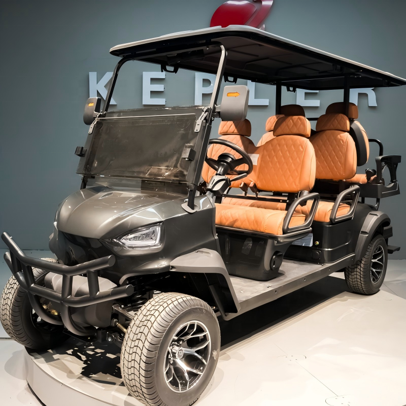 Professional Golf Cart &amp; Sightseeing Buggy Customizable Lithium Battery &amp; Motor Power Full Personal Customization Service