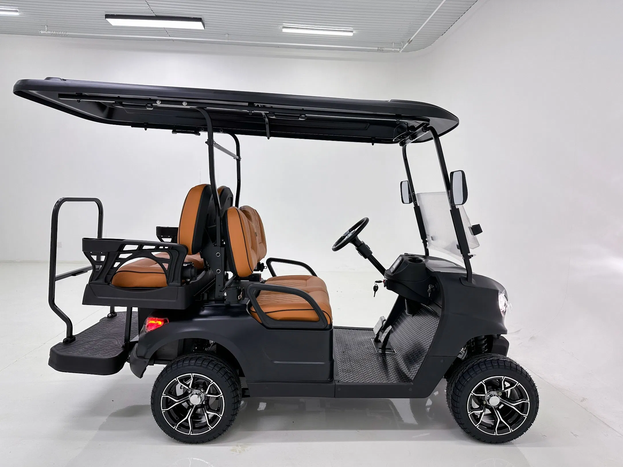 Stylish Look Anti - Roll Bars Electric Golf Cart for Camping Access