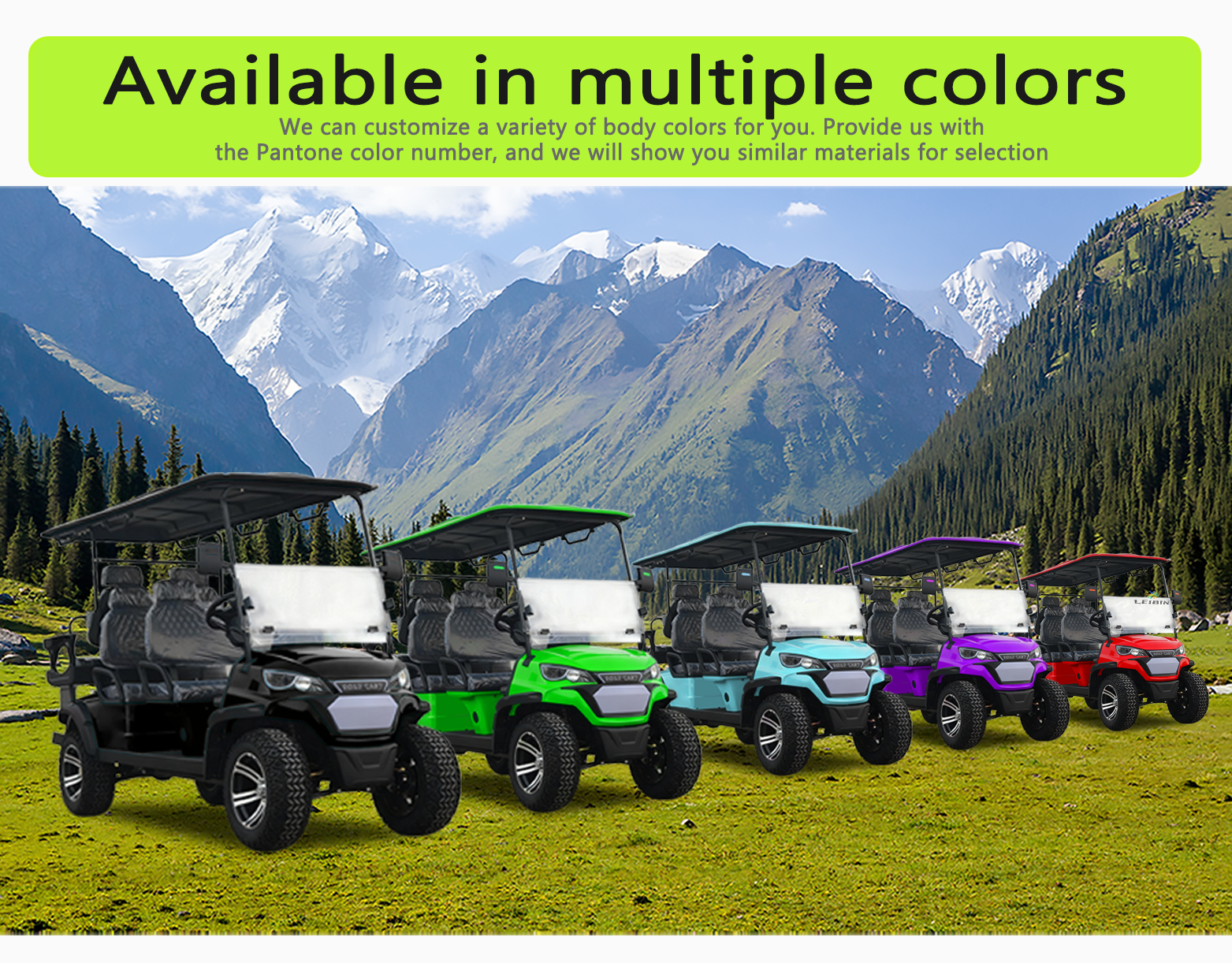 Electric Golf Cart Color Options