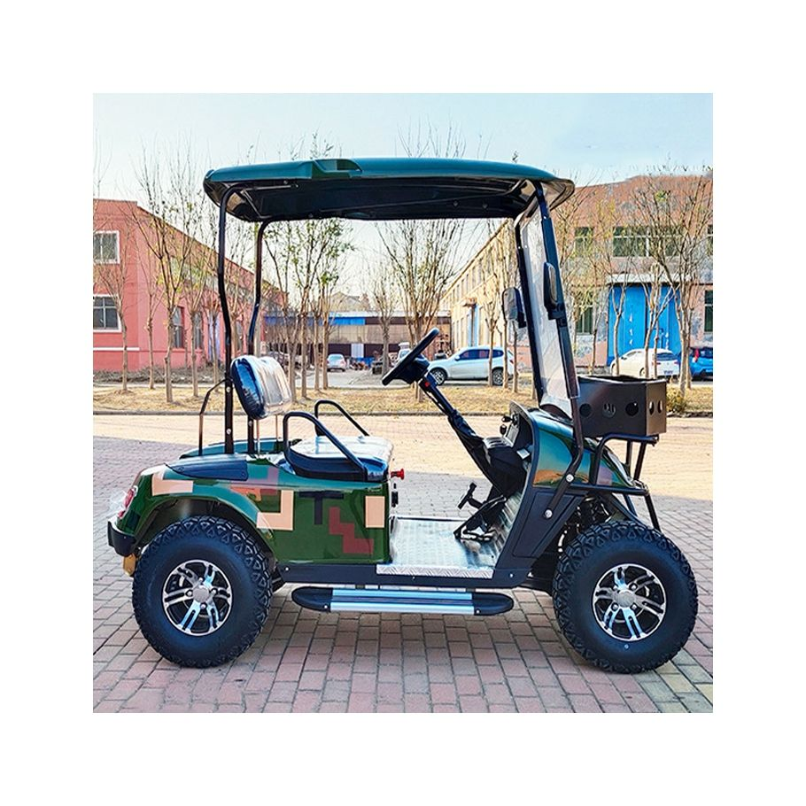 New Design Two-Seater Mini Passenger Golf Cart with Sunshade 70-90km Range CE Certified