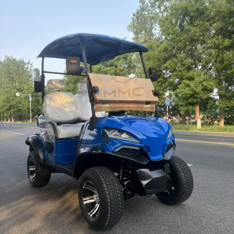 Chinese off Road Electric Folding Gocart 48V Electric Cart for Adults 72V 200ah Lithium Hunting Golf Carts Electric