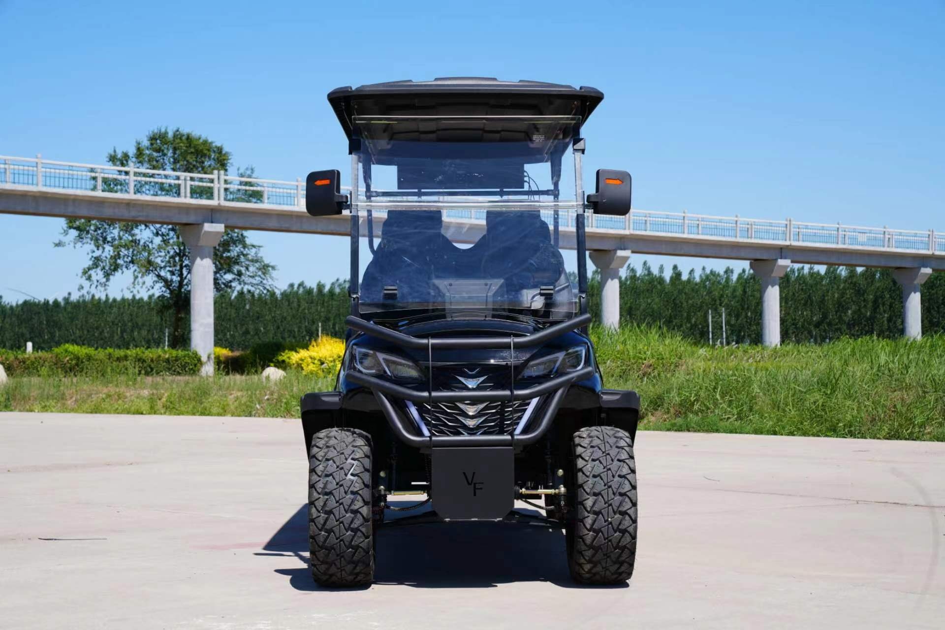 Golf Cart Detail 4