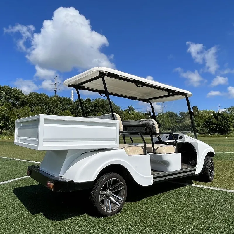 Electric Golf Cart Seating Configuration