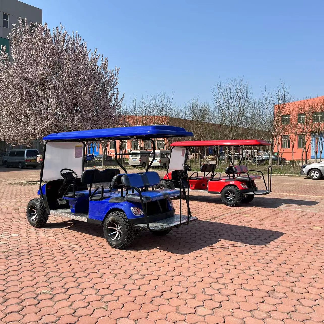 4+2 Seats ELECTRIC GOLF CARTS 6 Seaters 6 Passenger Electric Golf Cart 4 Wheel Drive Golf Cart