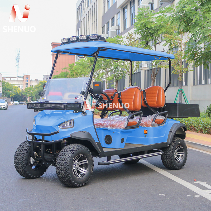 Certified Commercial Enclosure System Gas Powered Golf Cart Enclosed for Winter Resort Transport Fleets