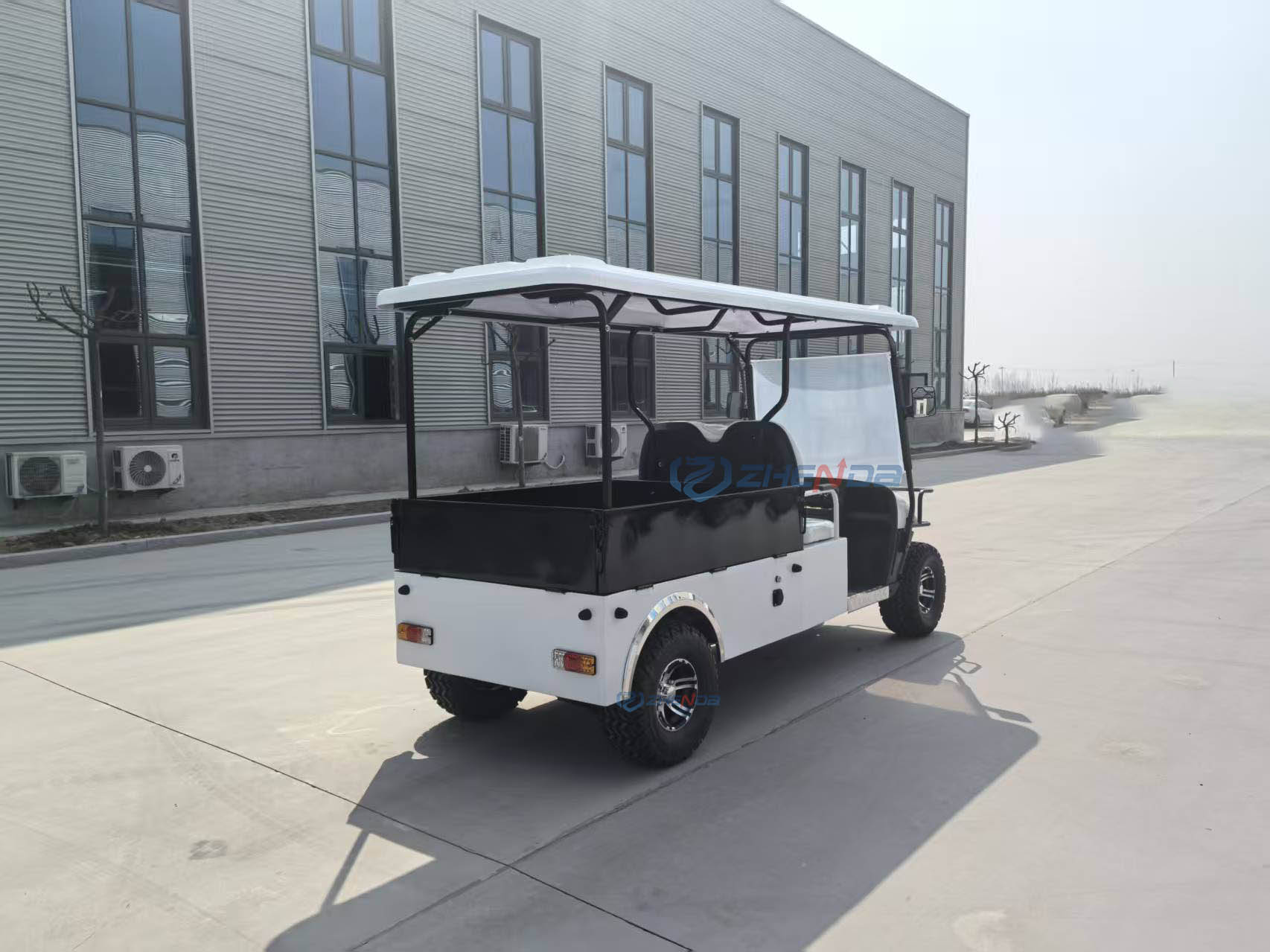Electric Golf Cart Feature 2