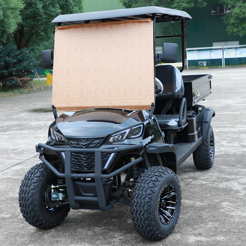 Eagle Luxury Chinese Ev Lithium Hunting off Road Golf Carts Mini 2 Seater Seat Electric Golf Cart