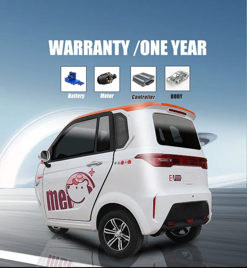 Electric Vehicle Performance Details