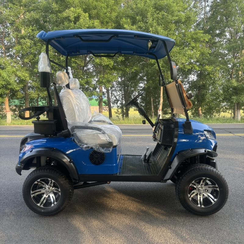 Chinese off Road Electric Folding Gocart 48V Electric Cart for Adults 72V 200ah Lithium Hunting Golf Carts Electric