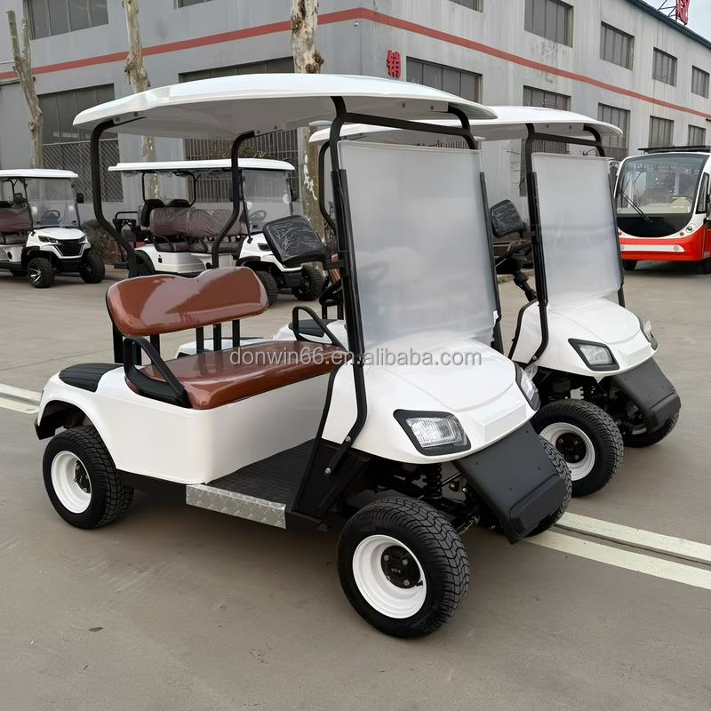 High Quality 2 Seater Lithium Battery Golf Cart Off Road Club Golf Car with Rain Canopy Suitable for Golf Courses