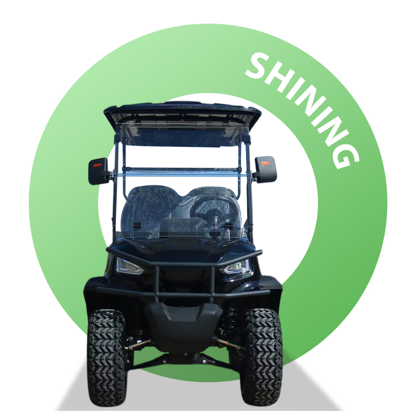 Shininglsv Hunting Car Beach Resort Electric Vehicle Luxury Street Legal Golf Electric Cart 4 Seater