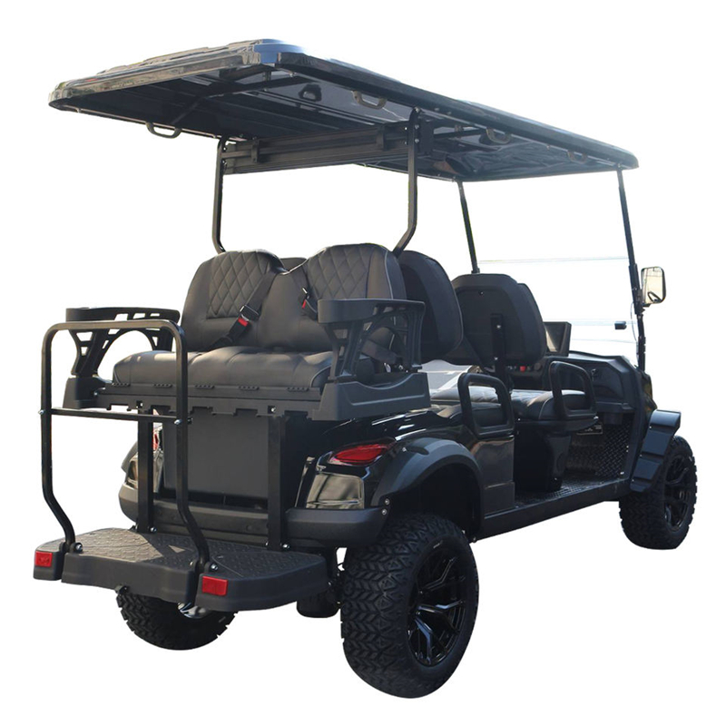 2025 Premium Electric 6-Seater Golf Cart with 50-70km Range for Family and Friends
