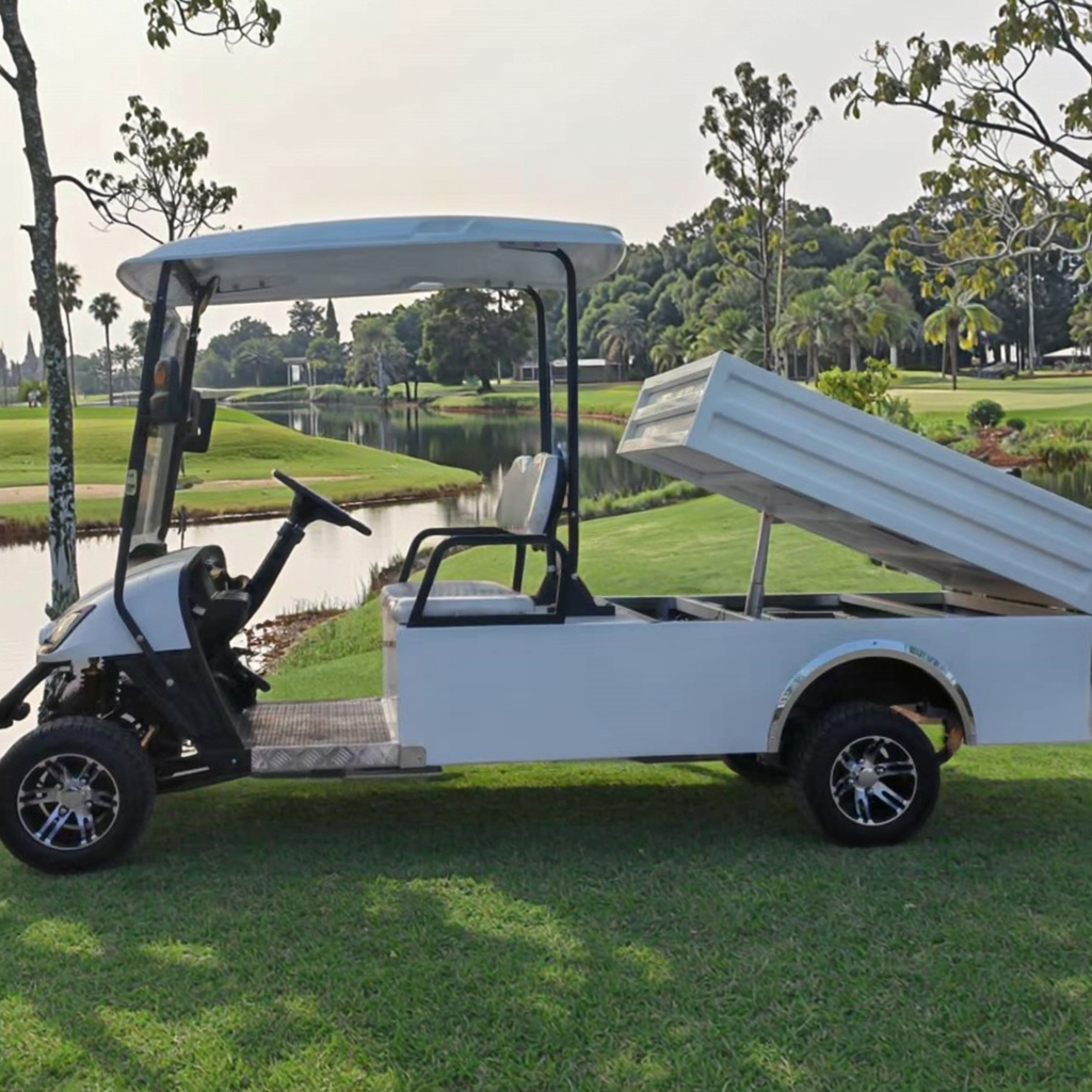 JG Factory Sale 5kw Motor off Road Electric Golf Car with Disc Brake CE and DOT Gas Car Golf Cart Golf Carts with Cargo Box