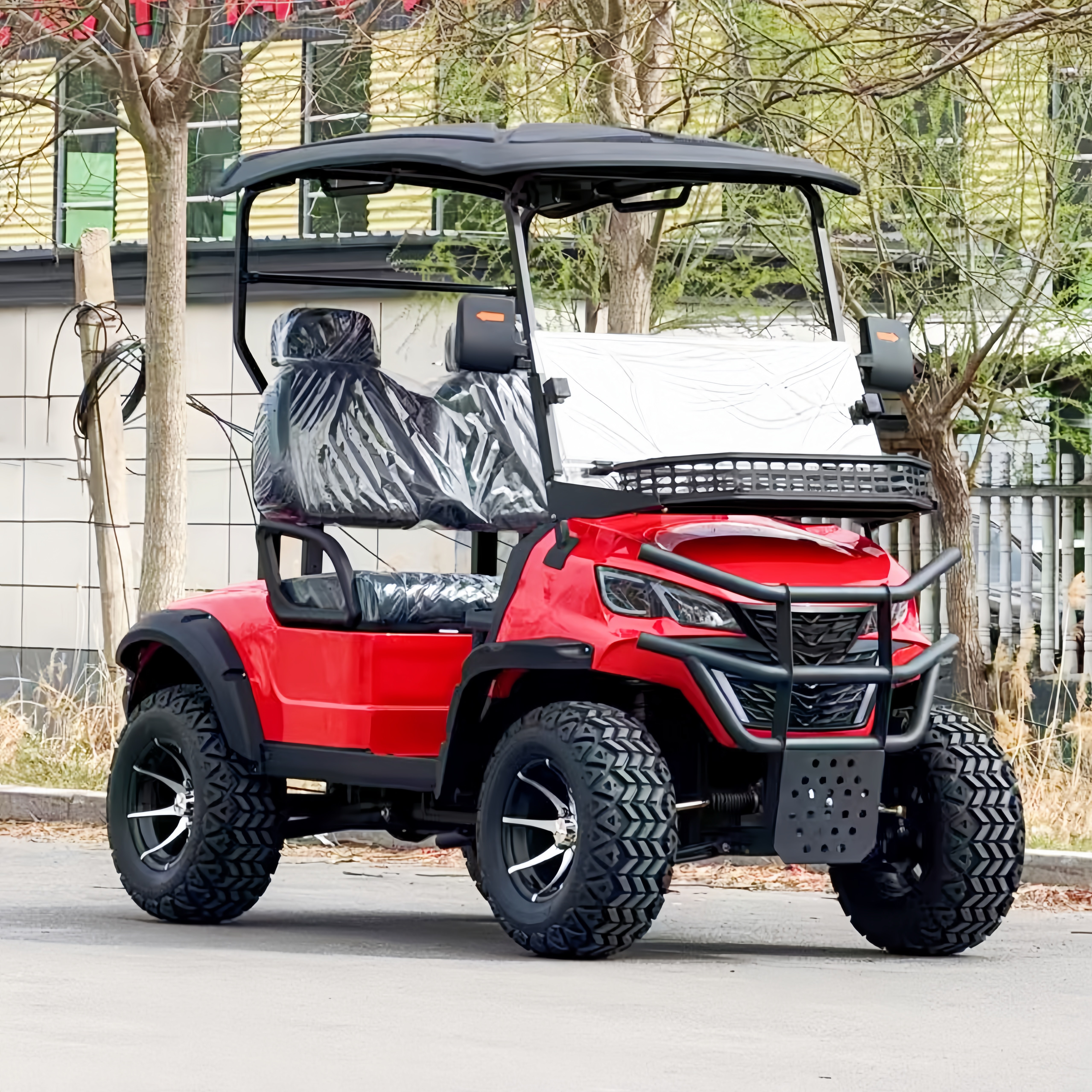 2 Seater Golf Cart Model 1