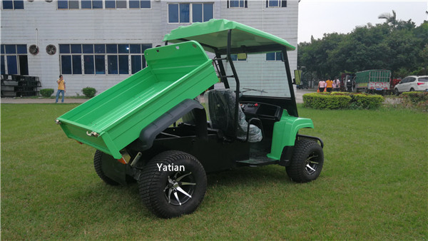 Modern 2 Seater off Road Farm Truck 5kw 48V Utility Vehicle