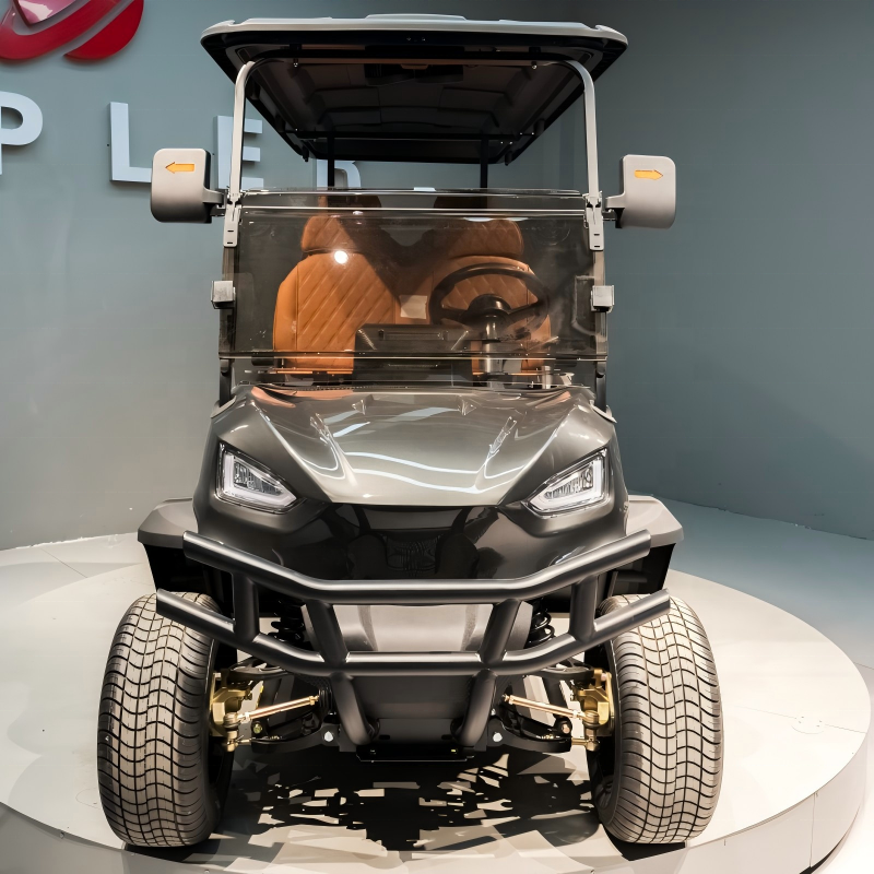 Professional Golf Cart &amp; Sightseeing Buggy Customizable Lithium Battery &amp; Motor Power Full Personal Customization Service