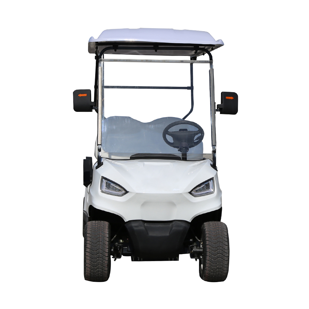 Best Price Commercial Use Golf Cart for Airport Factory Park and Neighborhood Transportation Wholesale