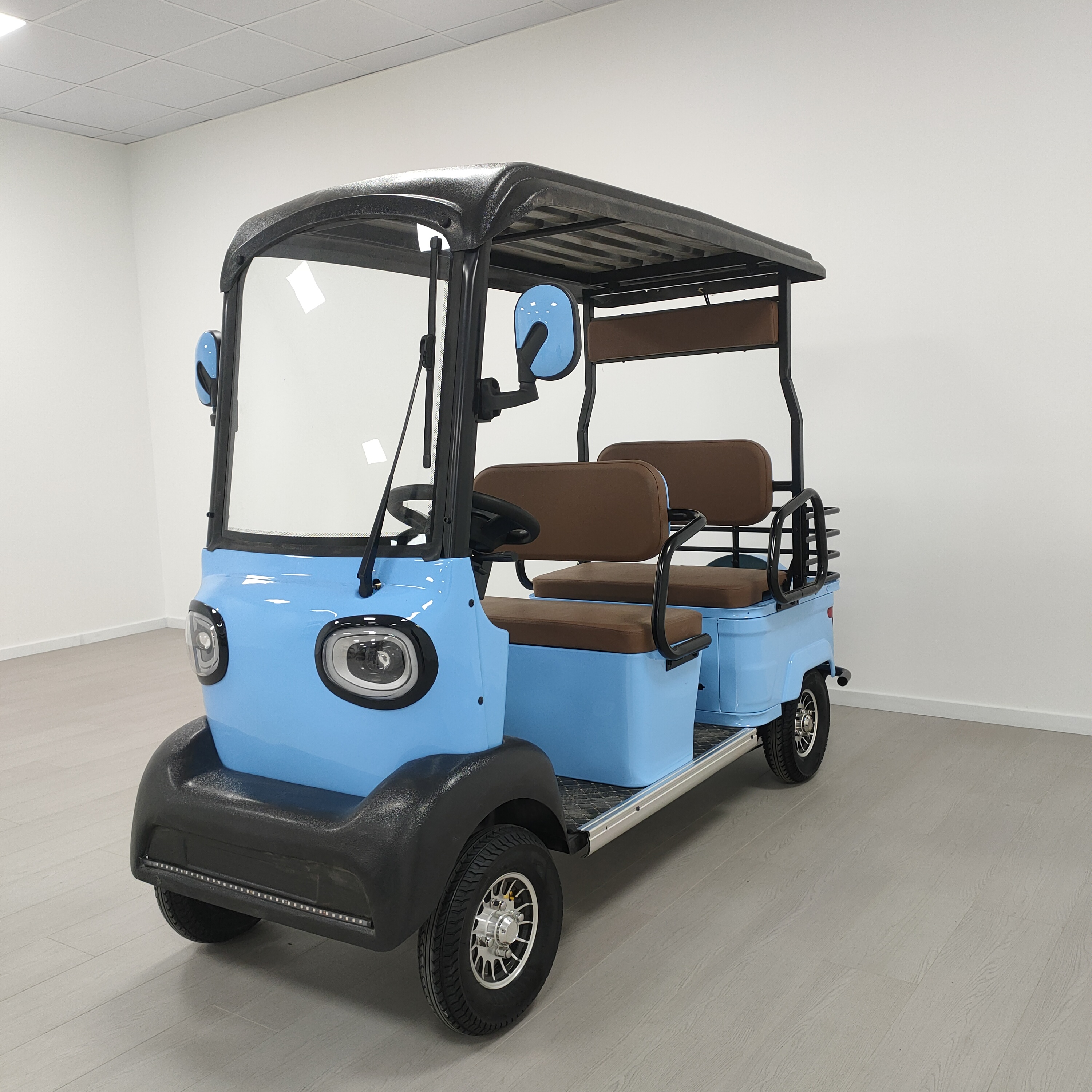 Electric Golf Cart Detail 5