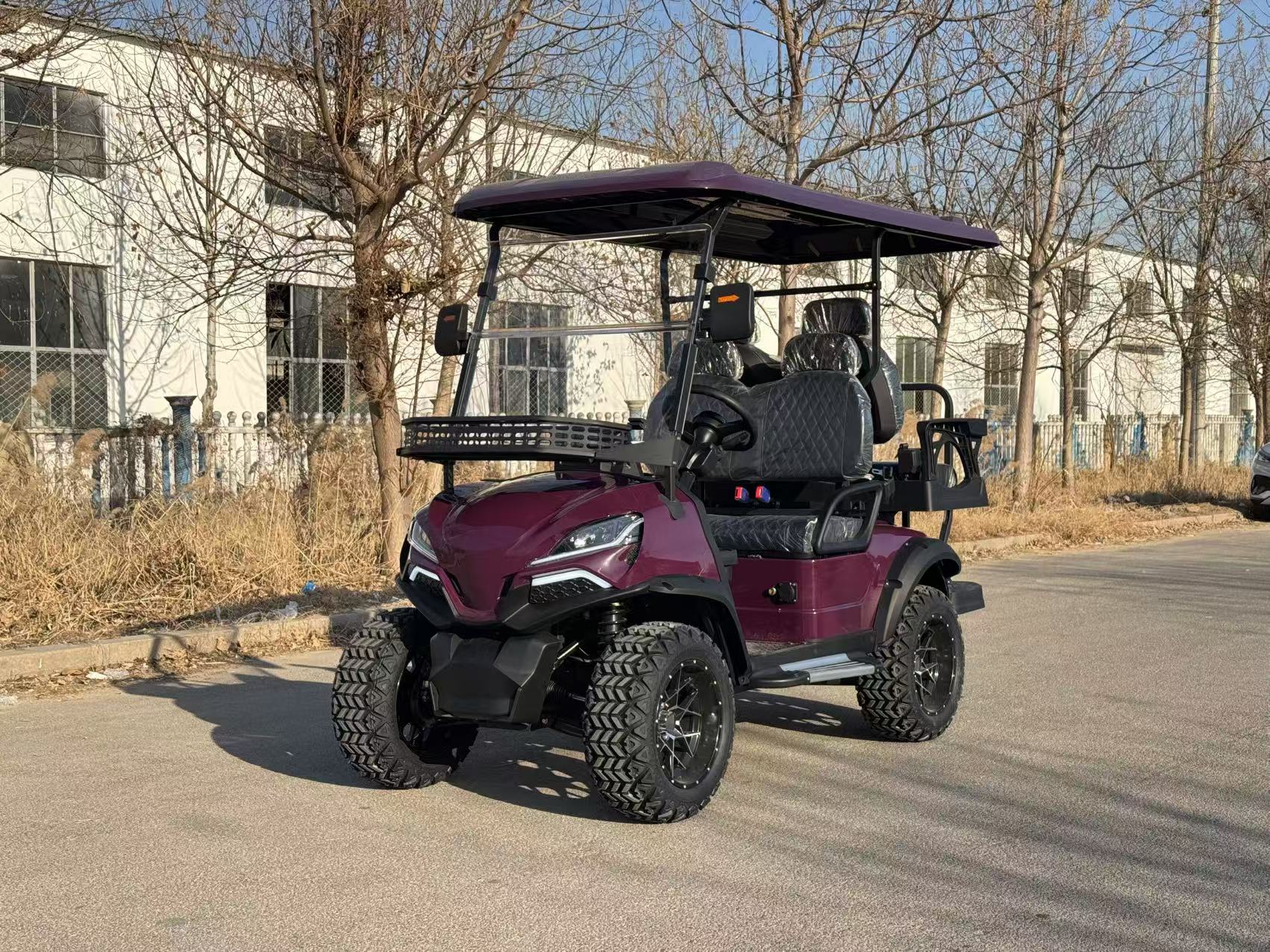 Customized Golf Cart with Standing Position Golf Lithium Battery Chinese Off-road Golf Carts