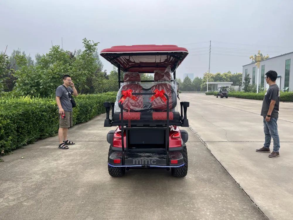 Luxurious Golf Cart Rear View