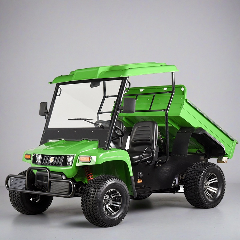 Deposit 48V 5kw Electric UTV Utility Vehicle for Farm