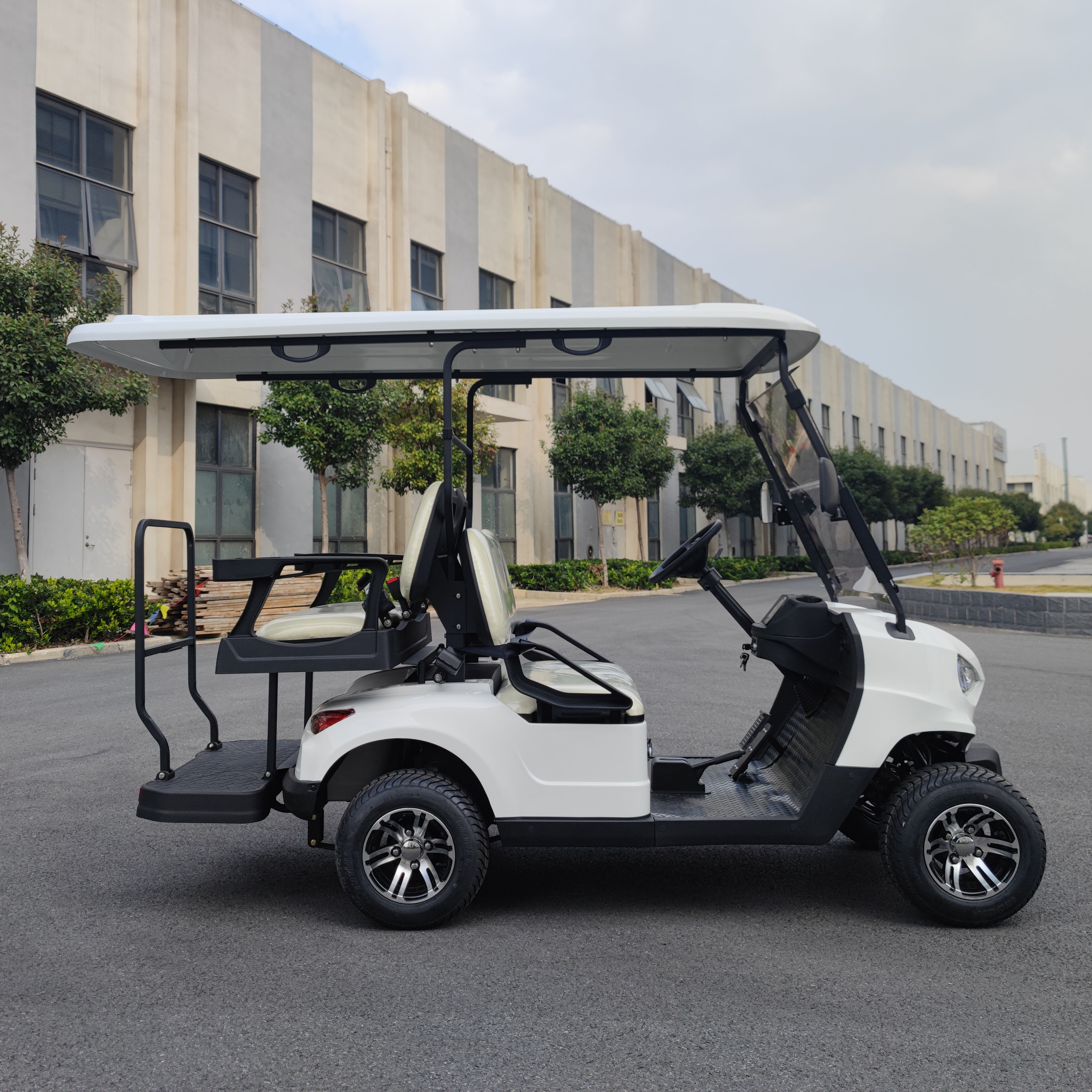 Electric Golf Cart