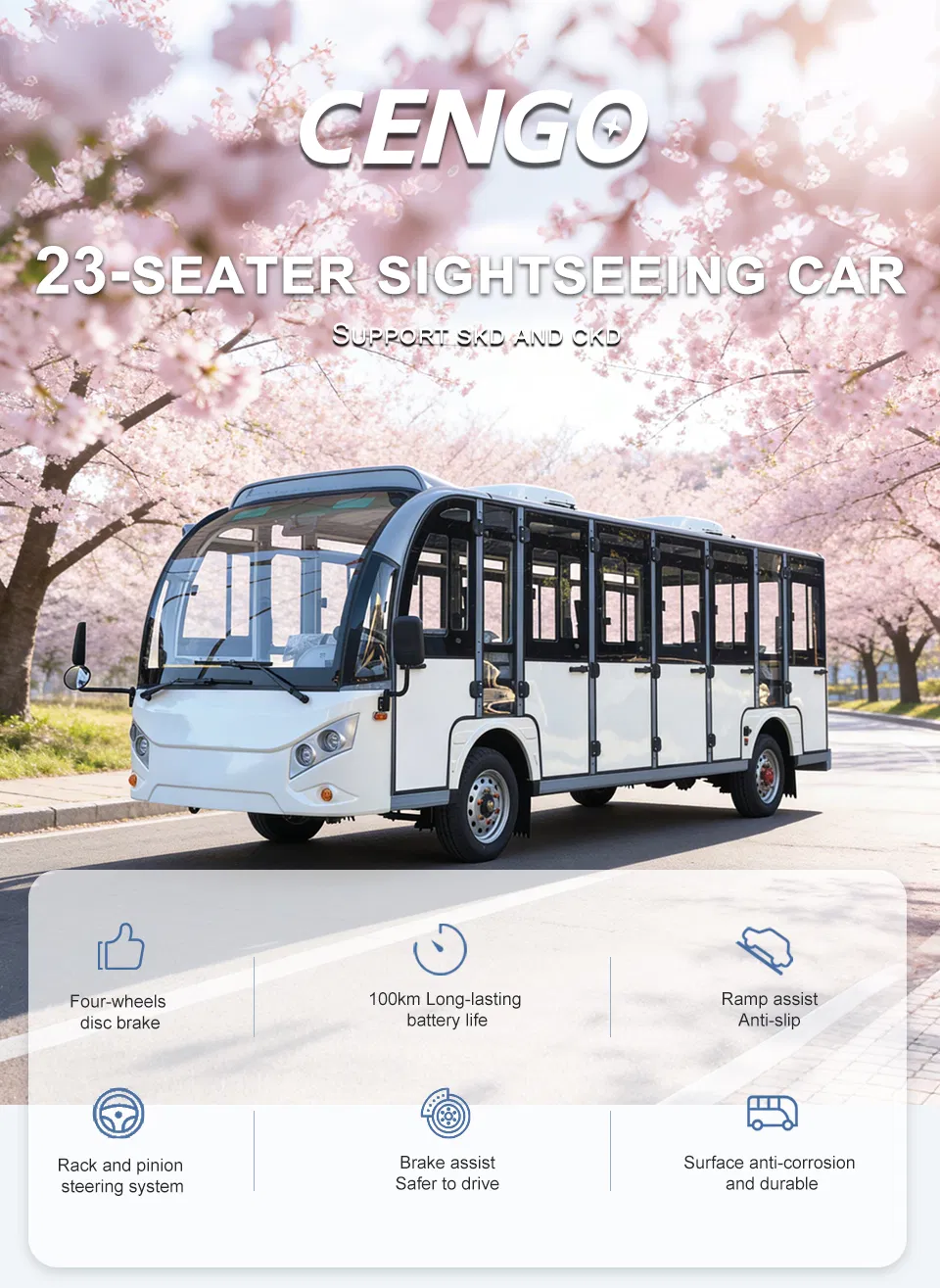 Sightseeing Car Image 1