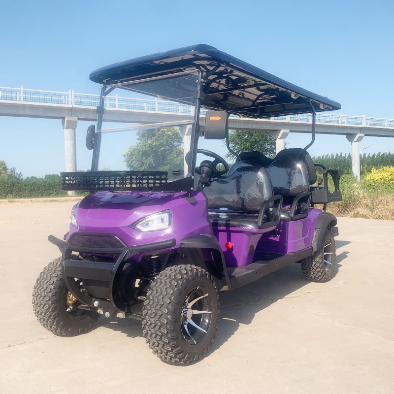 Best Price 6 Seater Off-Road Tire Golf Cart Buggy Hunting Cart Golf Carts Powered