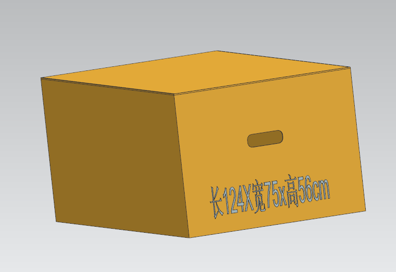 Packaging Box Option A