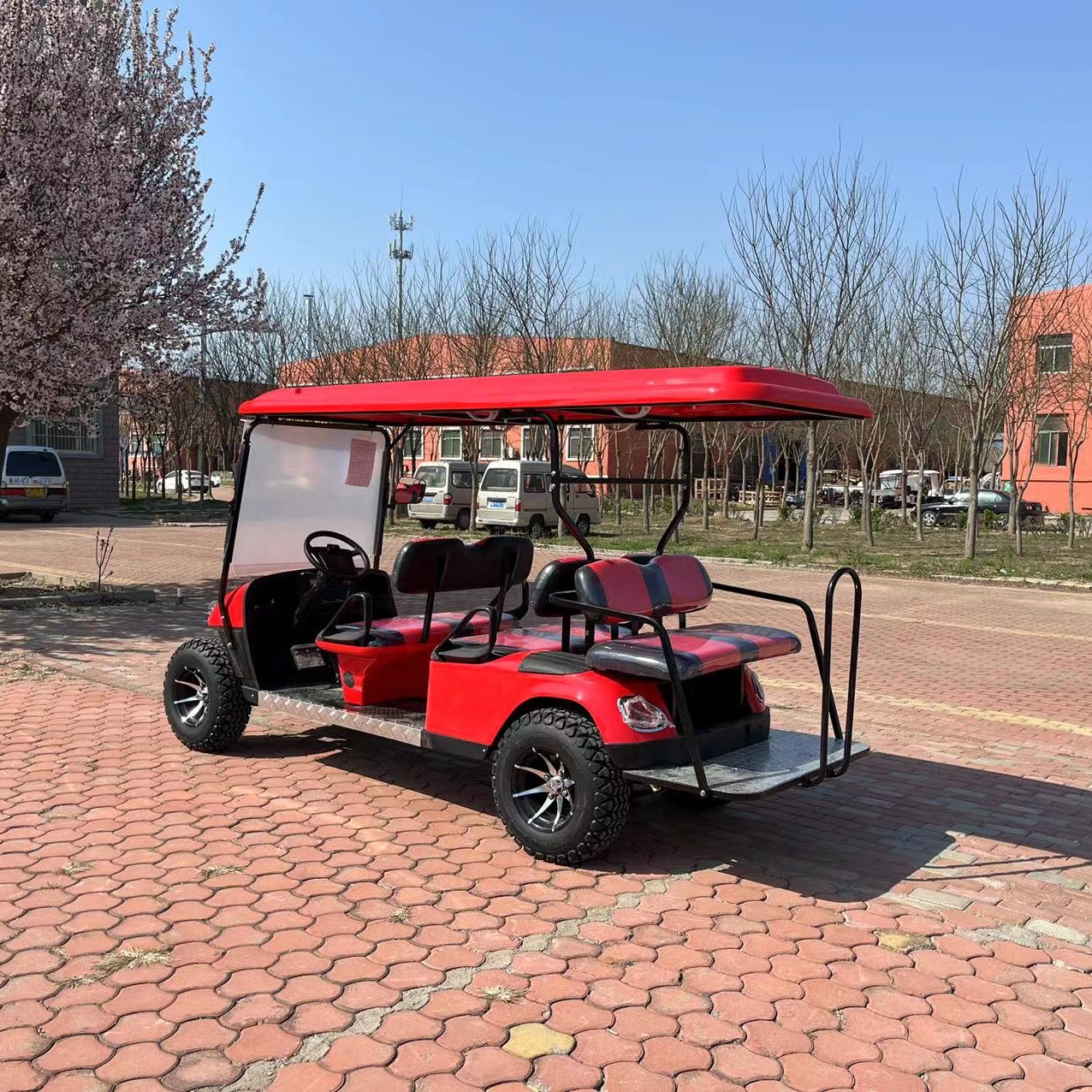 Electric Golf Cart Details 2